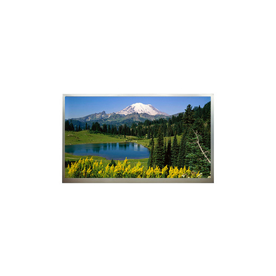 good price 18.4 Inch 1920*1080 LCD Display N184H4-L04 online