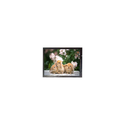 good price 11.6 inch B116XAK02.0  1366*768 Laptop LCD Screen Panel online