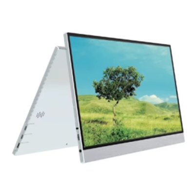 good price 15.0 Inch Portable Monitor 1920*1080 High Color Gamut USB-C HDMI Custom Logo Monitor online