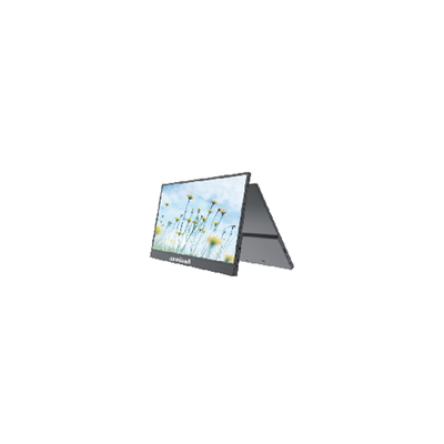 good price 15 Inch  Portable Monitor for Business/Education, IPS Panel, Wholesale Price with Quality Warranty online