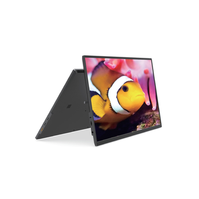 good price 17.3 Inch Portable Monitor Equipped with 1080p 100 % SRGB Multifunctional Reversible Display with 16:9 Aspect Ratio online