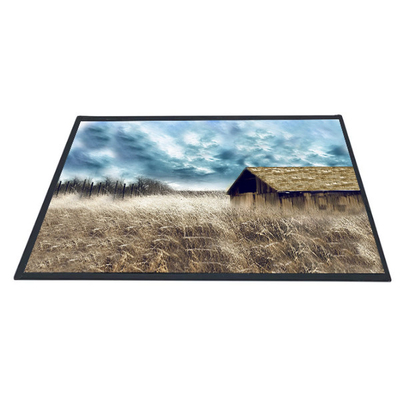 good price AUO 10.1 inch B101XAN01.2 1366x768 TFT LCD Panel Screen online